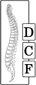 Logo Dutch Chiropractic Federation (DCF)